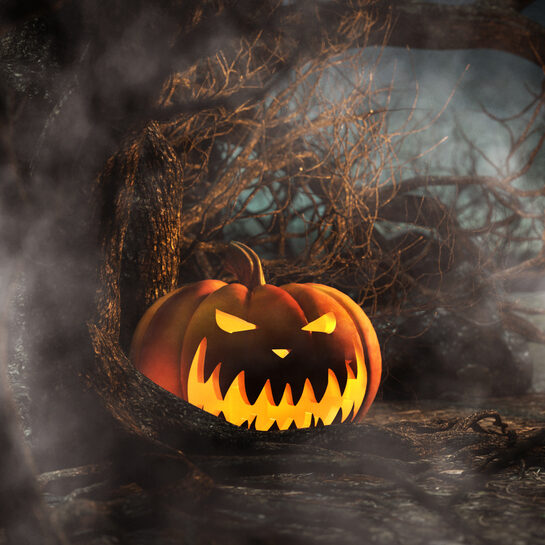 Halloween pumpkin in creepy forest at night,3d illustration for halloween concept background